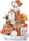 Citrus; 18-Piece Fall Tiered Tray Decor Set – Rustic Pumpkin & Maple Leaf Wooden Signs, “Hello Fall” Farmhouse Tabletop Decorations for Kitchen, Dining Table, Mantel & Autumn Home Styling; Category:Fall Tabletop Decor; Image:2